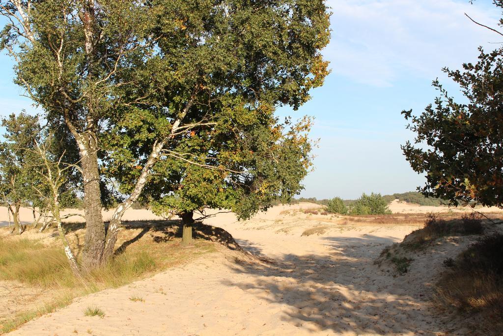 Natuurpoort Van Loon Loon op Zand Exteriér fotografie